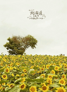 注册页面右测广告